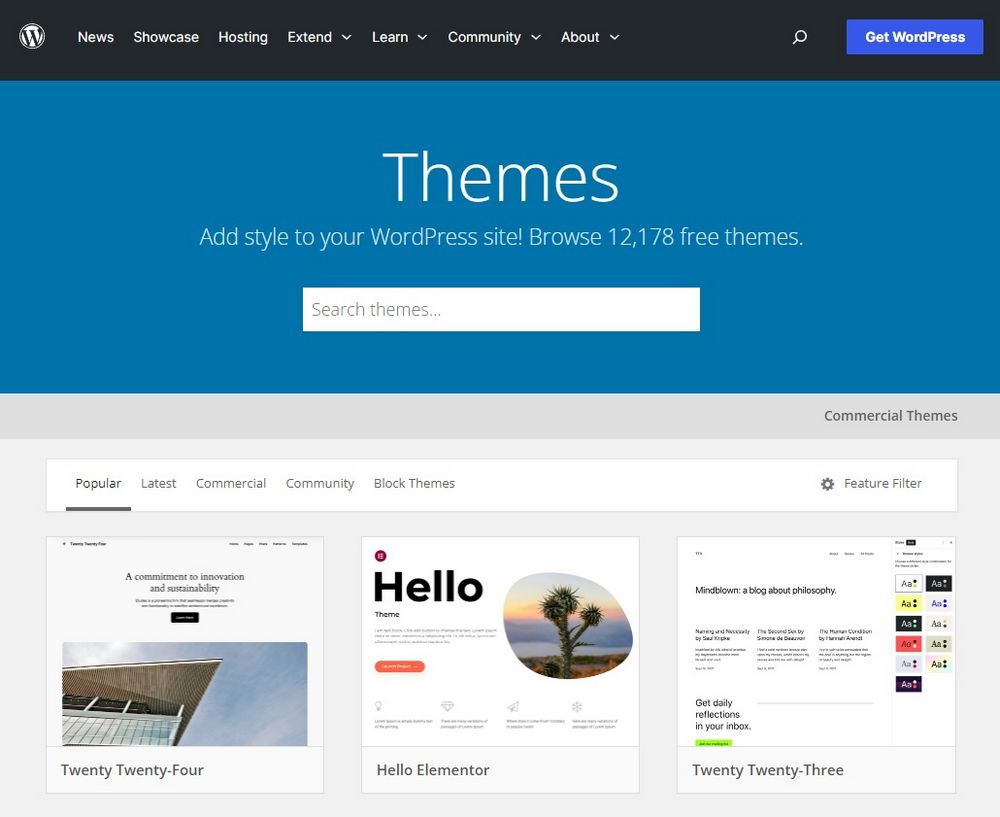 外贸建站 名词解释 WordPress独立站 上万主题